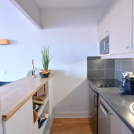 דירה Bright With Balcony At Buttes Chaumont